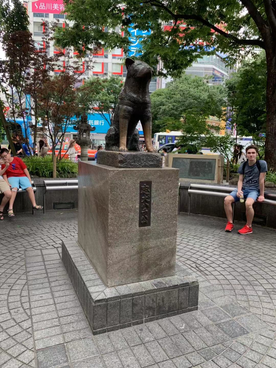 东京游记攻略,东京旅游指南攻略