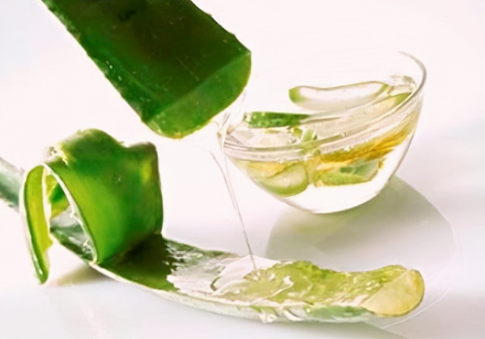 芦荟可以治过敏红痒吗,芦荟擦脸过敏怎么办