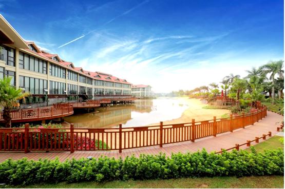 生蚝之乡广东阳江,生蚝之乡鲜蚝