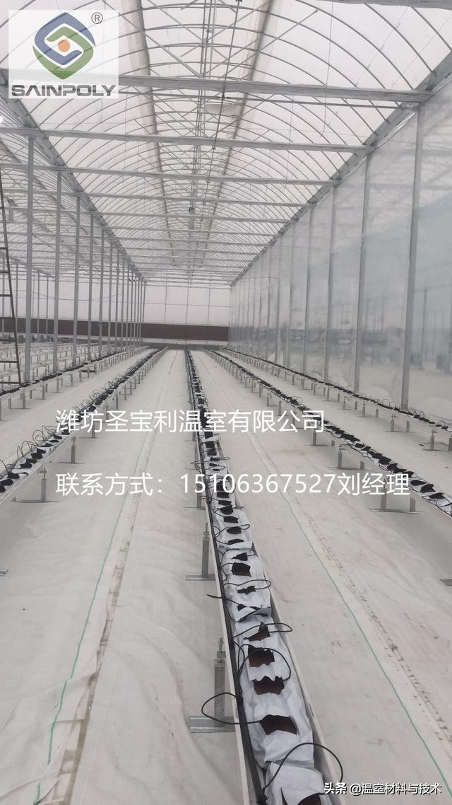 阴雨天怎样降低大棚湿度,草莓大棚湿度大怎么降低湿度