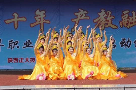 陕西工业职业技术学院招生标准,陕西正大技师学院招生办电话