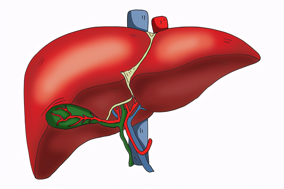 乙肝身体恶化吃什么药,乙肝恶化面部红斑点