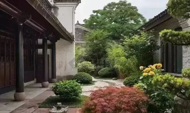 院子风景真美,中国人的院子