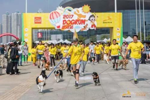 开宠物店的真实生意,开宠物店的投资收益与风险分析