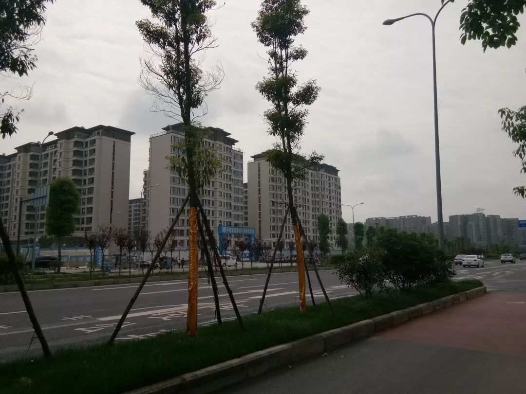 成都这4条“神奇”的街：新房门对门，凭啥最高能便宜1.3万/㎡！