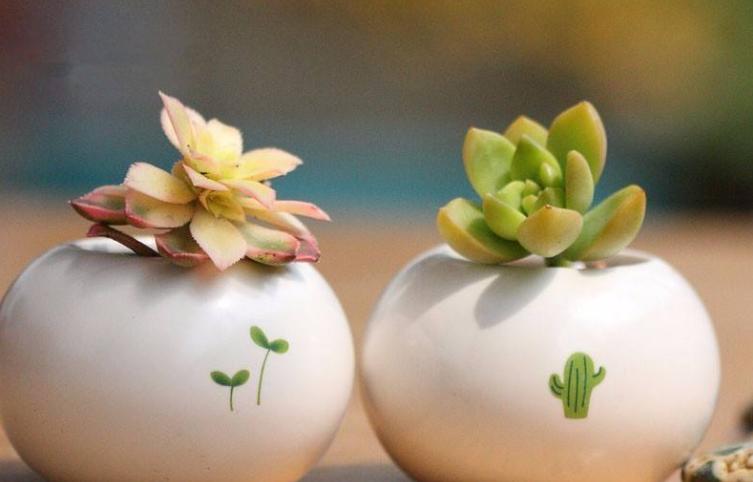 适合男孩子的微信头像,中年大叔微信头像成熟稳重有魅力