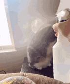 华硕6900xt猛禽水冷版跑分,amdrx6900xt渲染能力