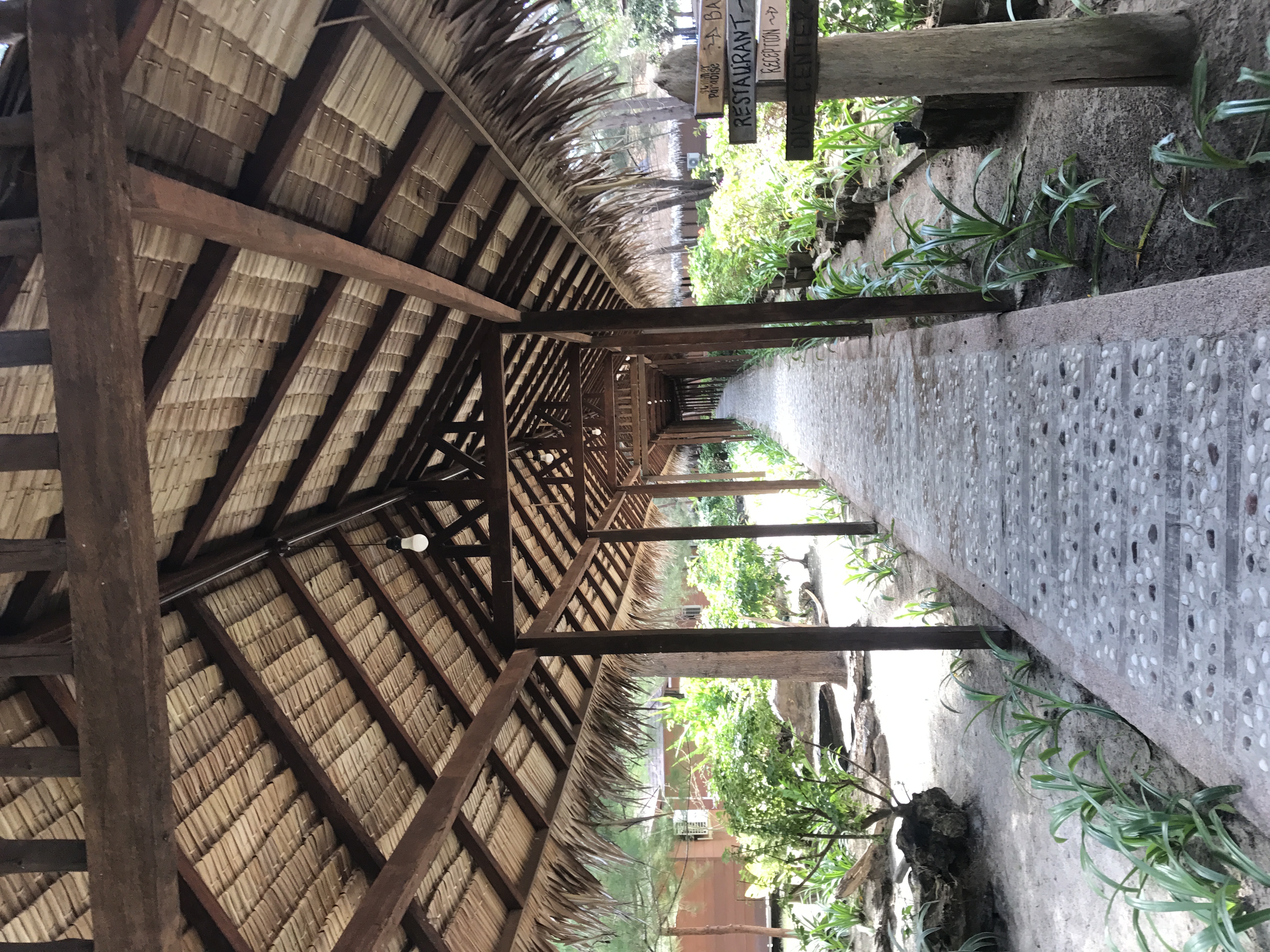 马来西亚沙巴6天5晚浪漫之旅,跟有趣的人在一起玩会有趣