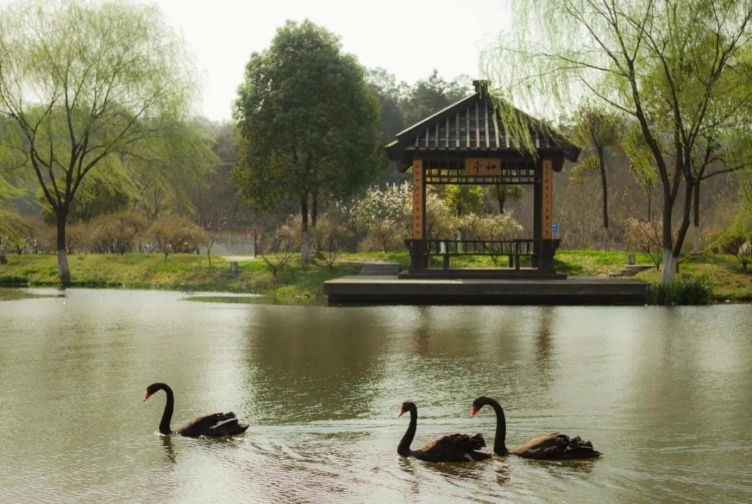 杭州美职学校风景,杭州美丽学校评选