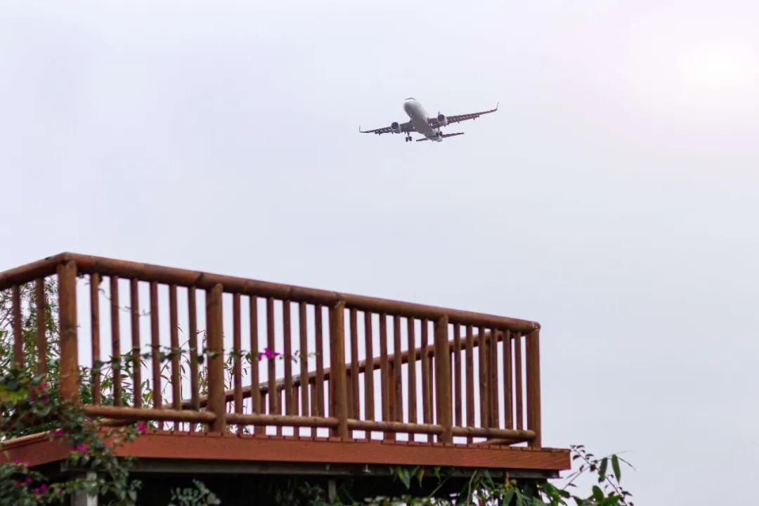 在空港花田里怎么拍照好看,每张都是屏保