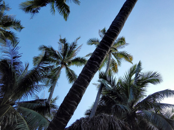 我的海南之旅作文,从海口到三亚感受海南的无限魅力