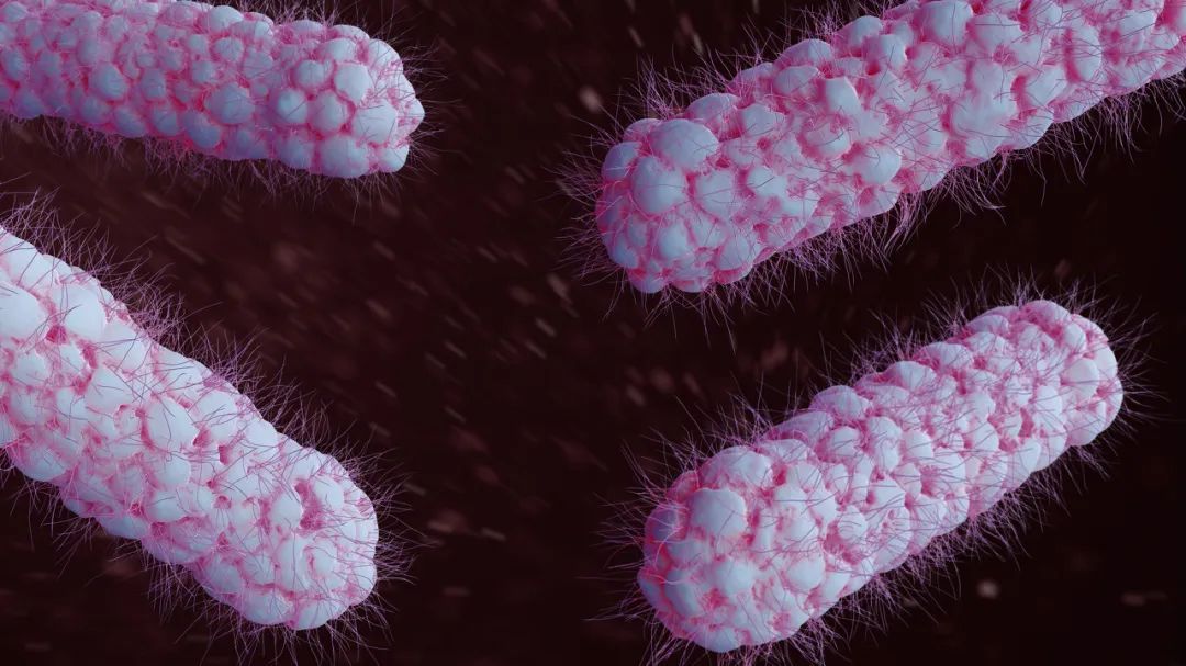 益生菌是如何走上神坛的,市面上益生菌那么多怎么选