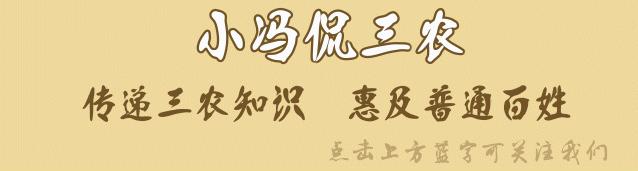 有哪些拜年需要注意的事,拜年需谨慎