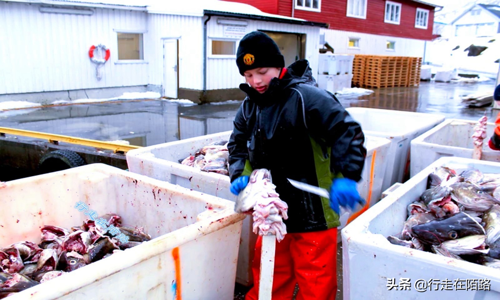 砸锅卖铁上一句,砸锅卖铁也要供你上学的励志语录