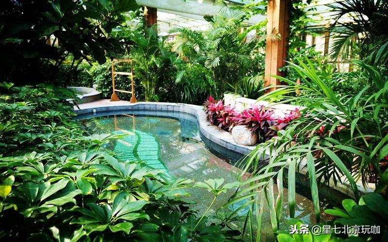 北京最好的私汤温泉小院排行榜,北京洗浴温泉休闲会所排名前十