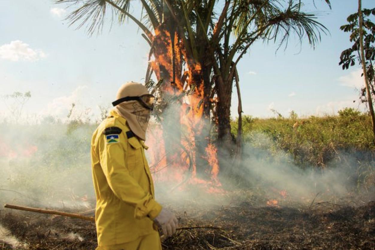 生灵涂炭哀鸿遍野寸草不生,巴西森林大火最新