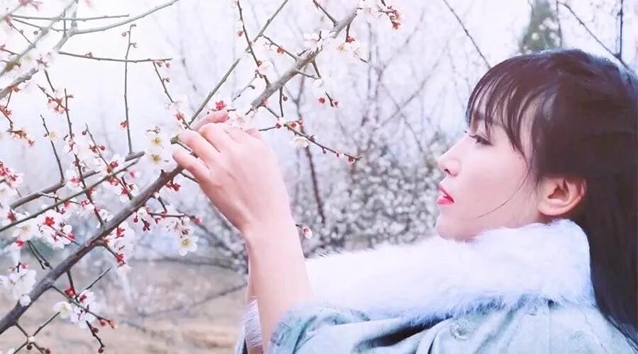 乡村网红一个月能挣多少钱,农村大网红能赚多少钱