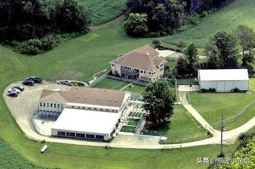 犬舍买狗攻略,揭秘犬舍买狗