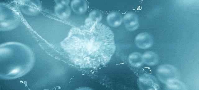 羊奶沐浴露身体乳哪个好用,纯羊奶保湿沐浴露