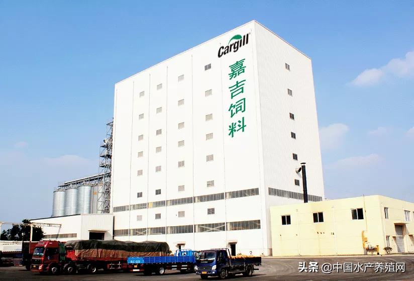 百年嘉吉的新使命—帮助农户提升价值，助力中国市场发展