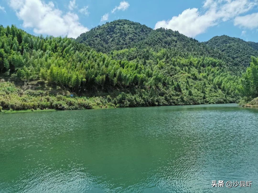 沙县总共有几个乡镇,沙县是属于哪个市