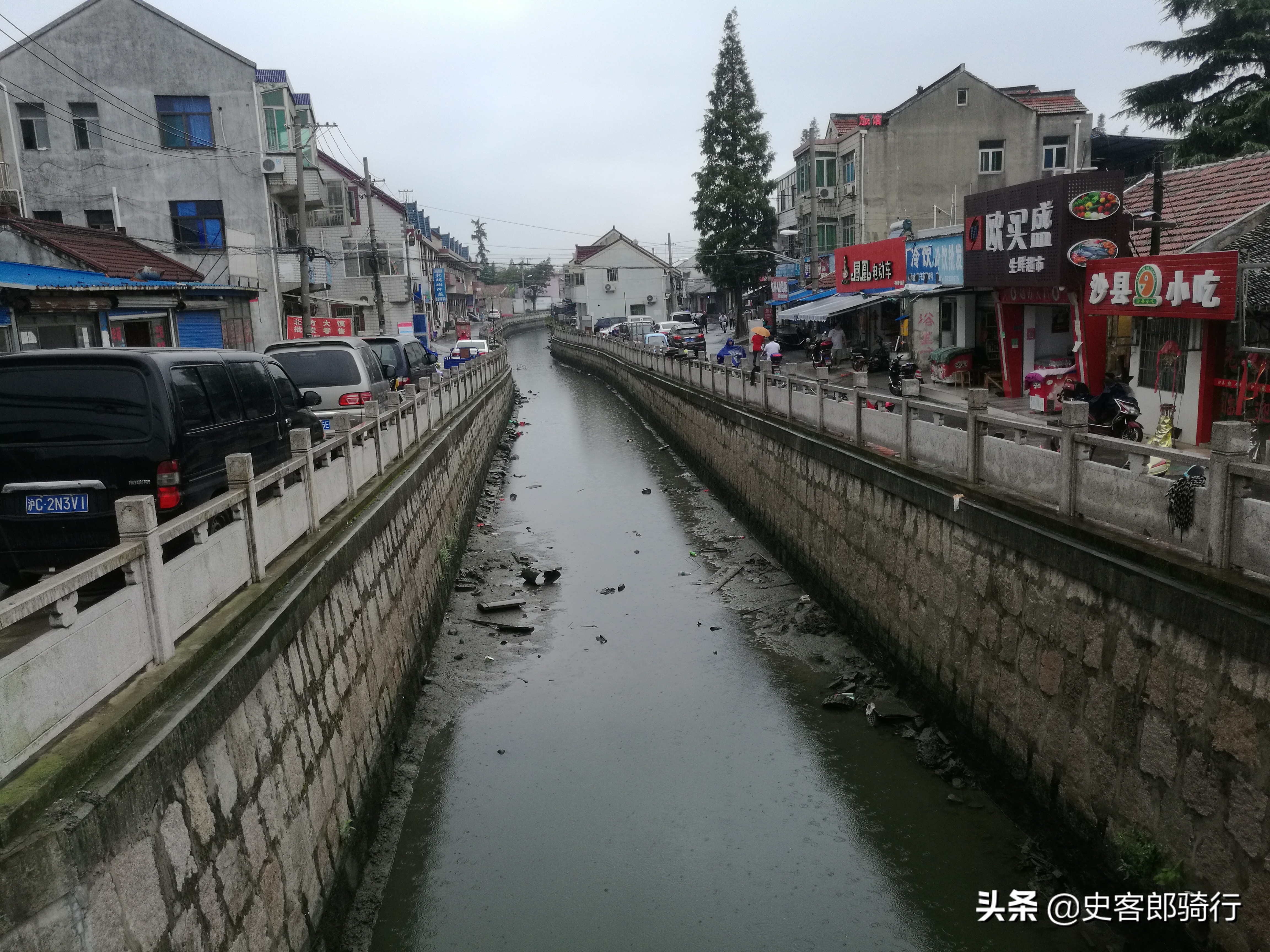上海骑行看樱花,坐车看上海夜景
