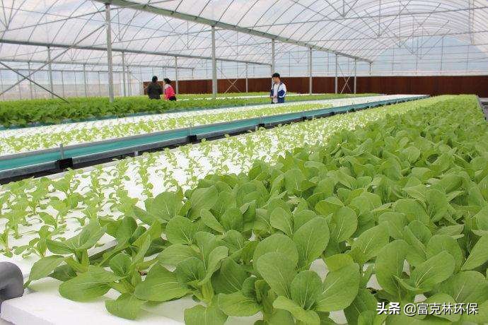 环保政策与市场分析,生态环保市场前景