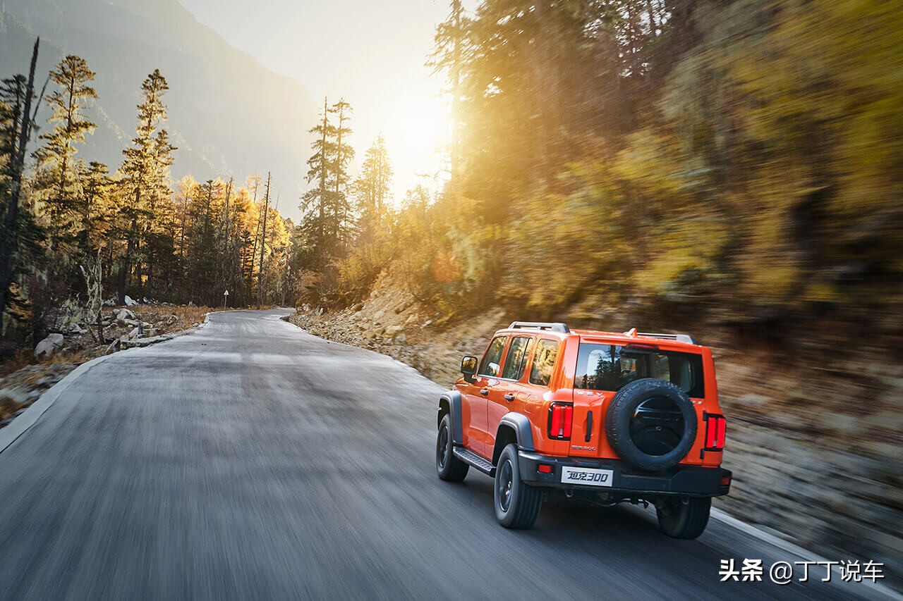 伤害高、*辱侮**性也极强，试驾WEY坦克300