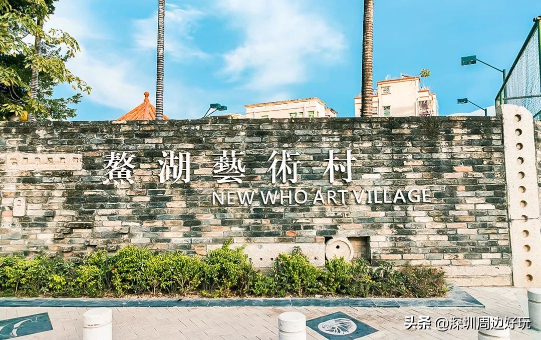 住在深圳各区的人,住在深圳市的人