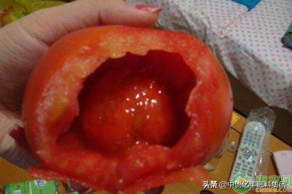 番茄空心果打什么药补救,番茄空心果怎么去挽救