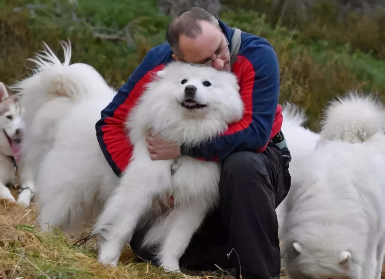 一直撸狗狗会怎么样,一直撸狗狗会烦吗