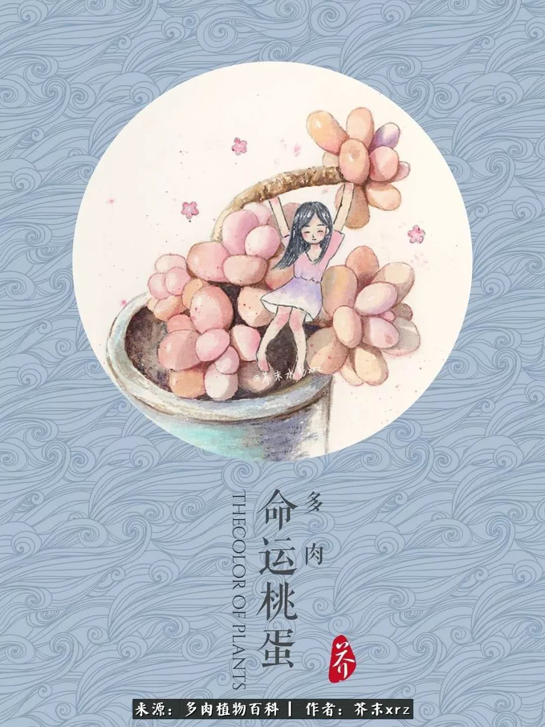 那个爱画多肉的小姑娘带着她的心头肉又来啦!