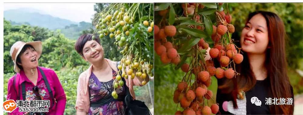 广西浦北钦州旅游详细攻略,广西浦北5a级景区