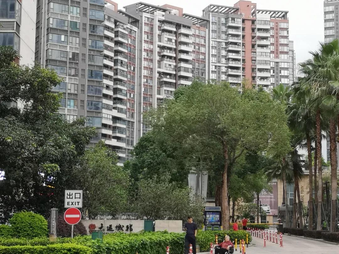 囊中羞涩无法远行,囊中羞涩去不了远方