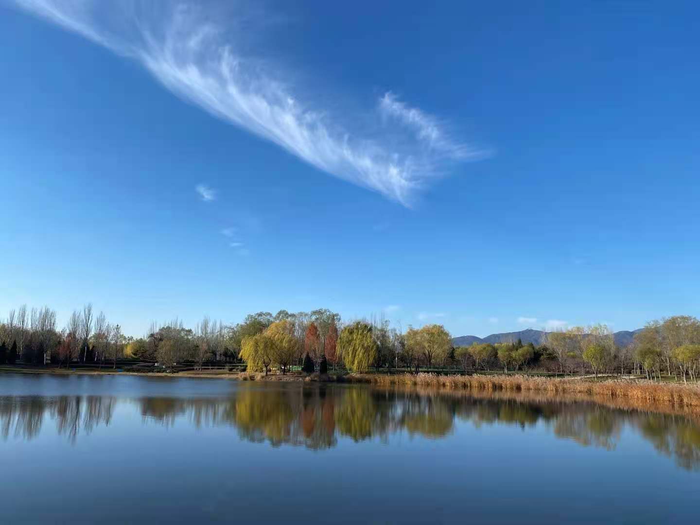 认识自己而不是认命,认识自己方能致远