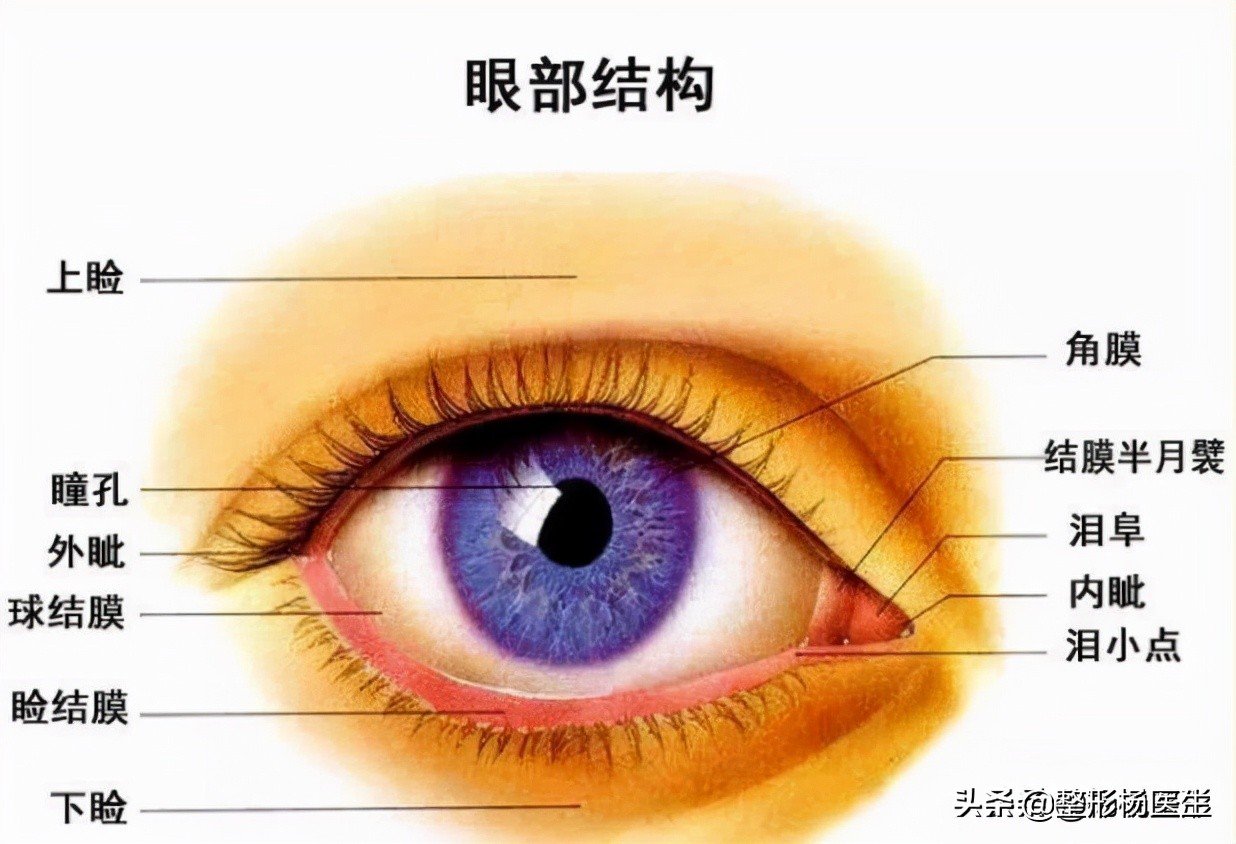 整形医生科普割双眼皮必看攻略,割双眼皮一定好看吗