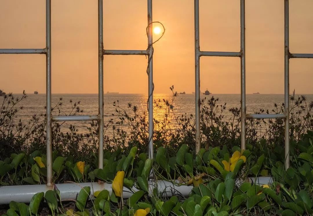 从没见过！在街上拍到了老爷爷头上喷白雾！原因......其实很好玩