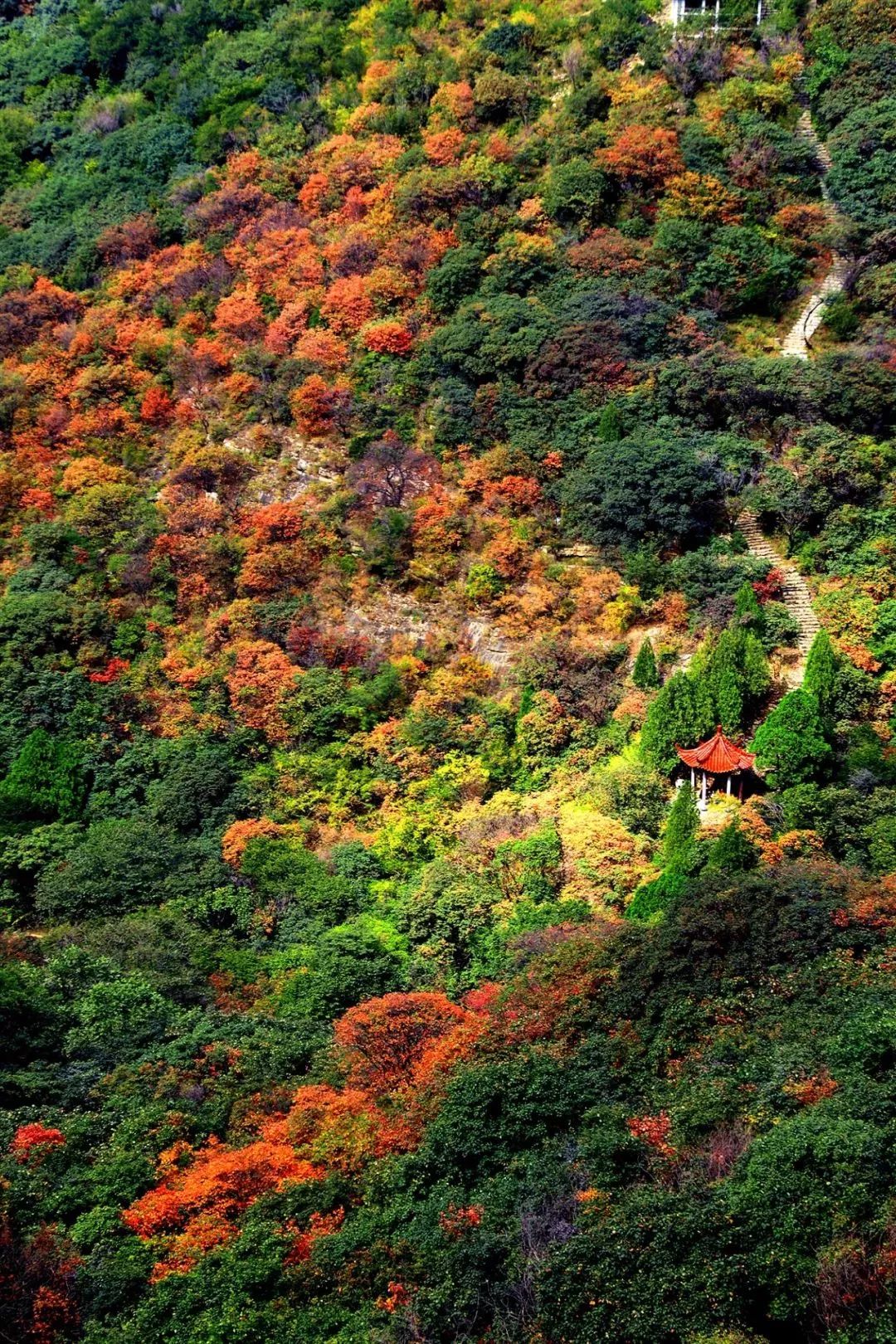 来淄博要做的十件事,来潍坊需要什么
