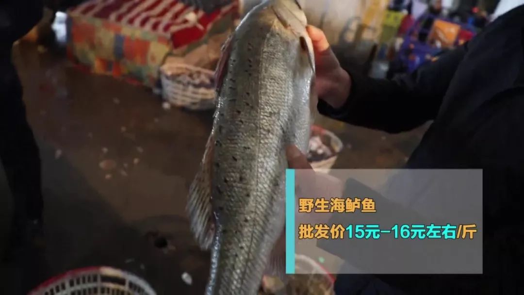 过年必囤的海鲜,过年买什么样的海鲜最有逼格