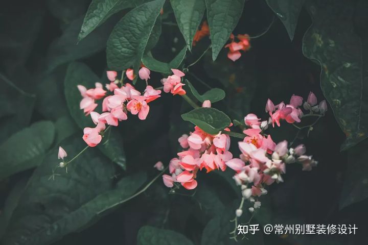 国内极简别墅设计案例 (极简新中式别墅设计案例)