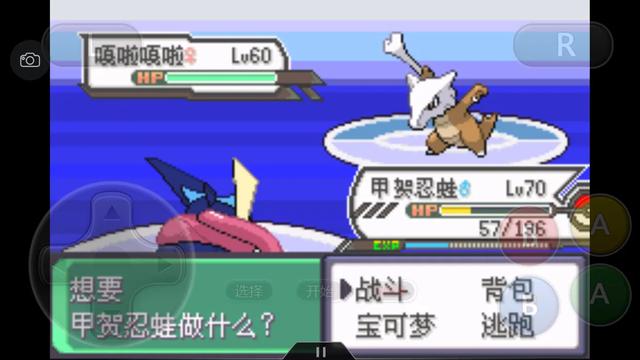 口袋妖怪究极绿宝石4详细攻略,口袋妖怪究极绿宝石4攻略详细版