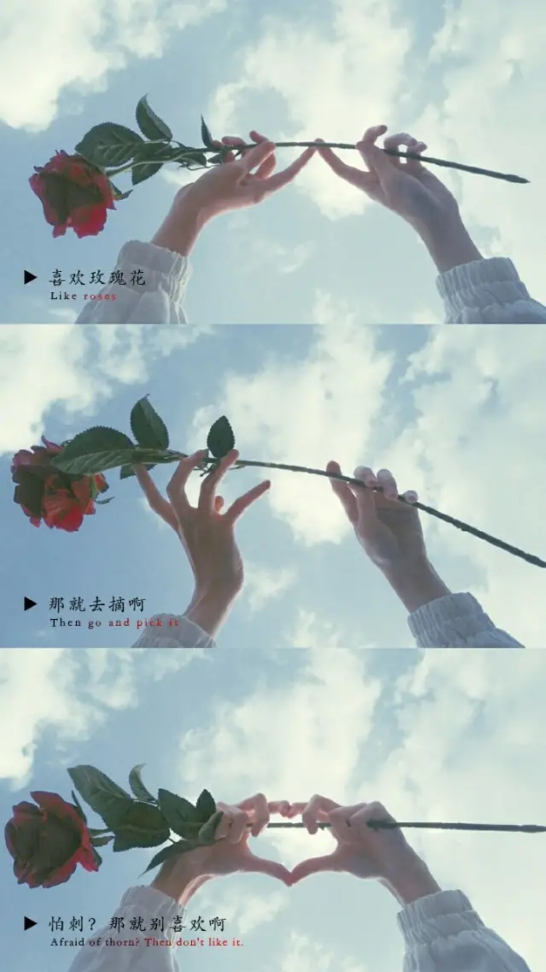 你听过最牛逼的情话,你听过最动人的情话是哪一句