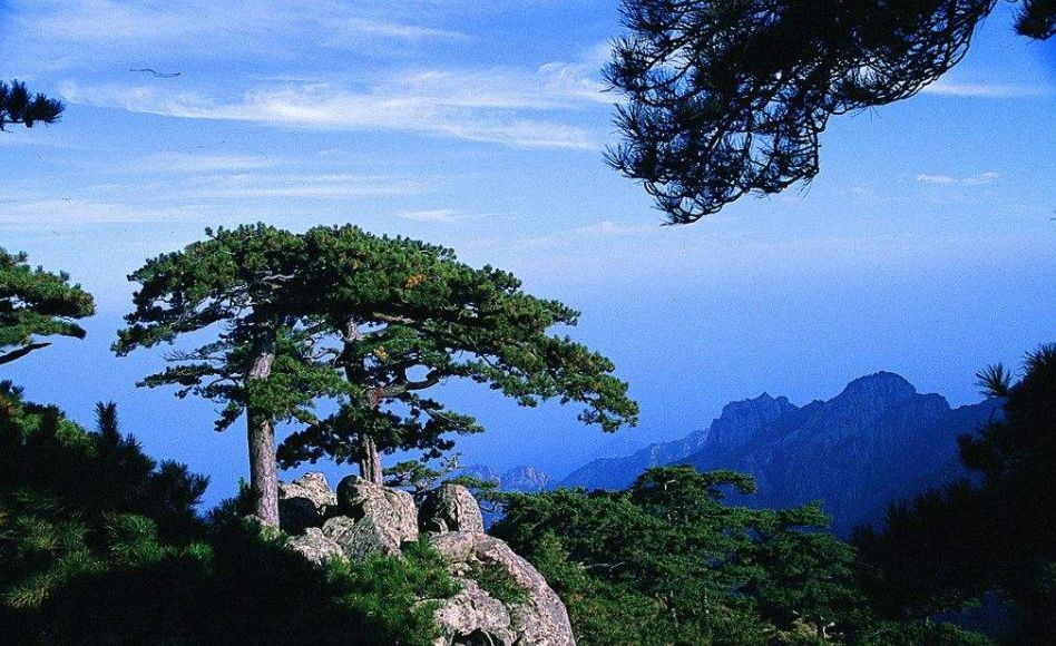 「诗词原创」邓寿康戊戌七言诗草