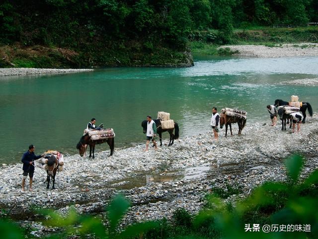 安化黑茶传奇,安化黑茶辉煌的历史