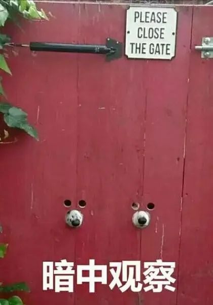 聚划算值得买吗,聚划算的价格