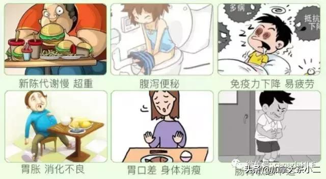 不吹不黑正确评价,costco有哪些保健品适合老年人