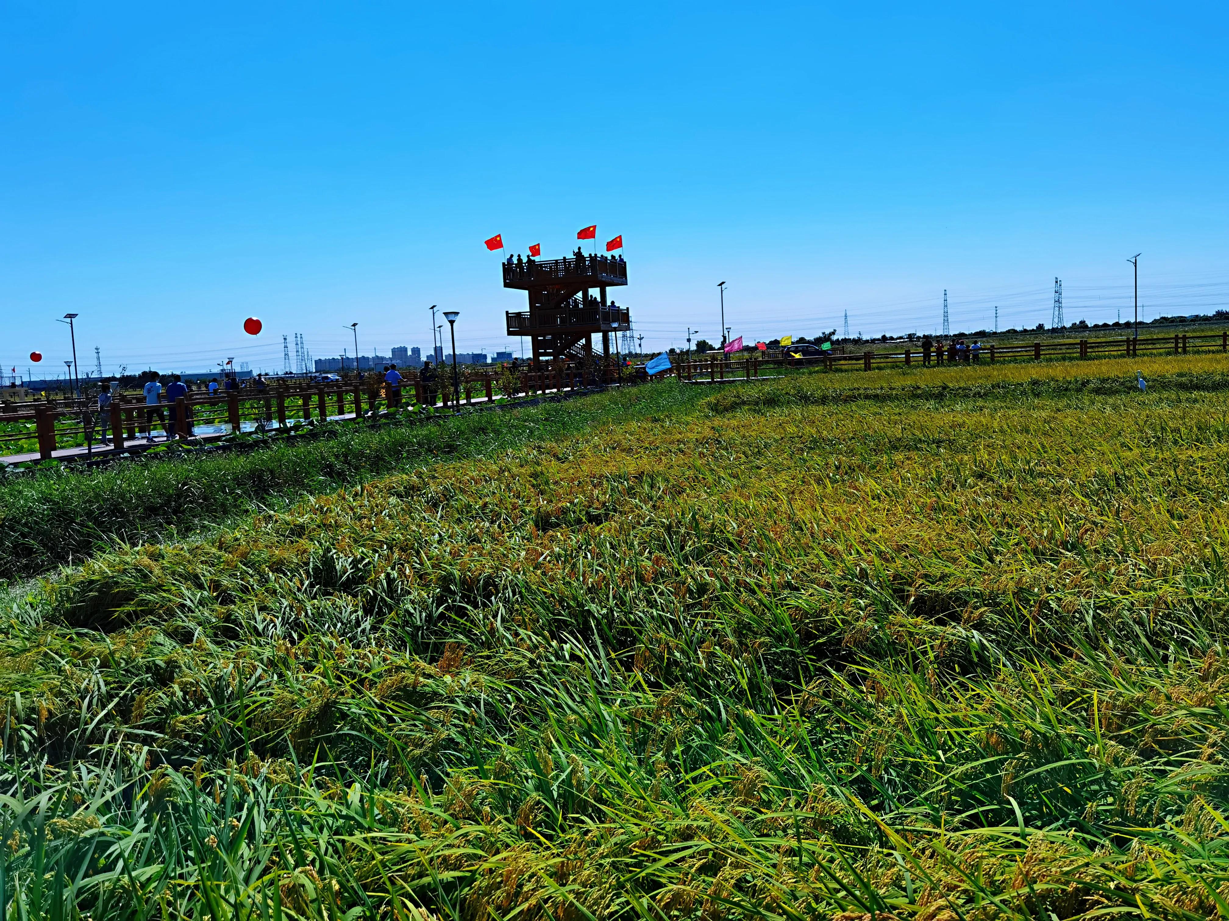 小站第一二段给你留下什么印象,小站印象