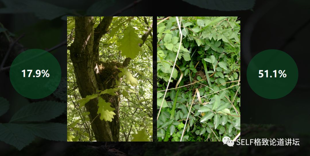 科学家如何观察植物,鸟类的研究方法