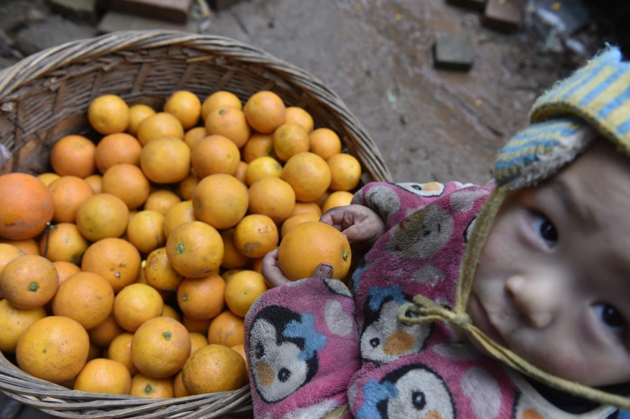 免狐扶贫项目上线,为麻阳甜橙解决销路难题