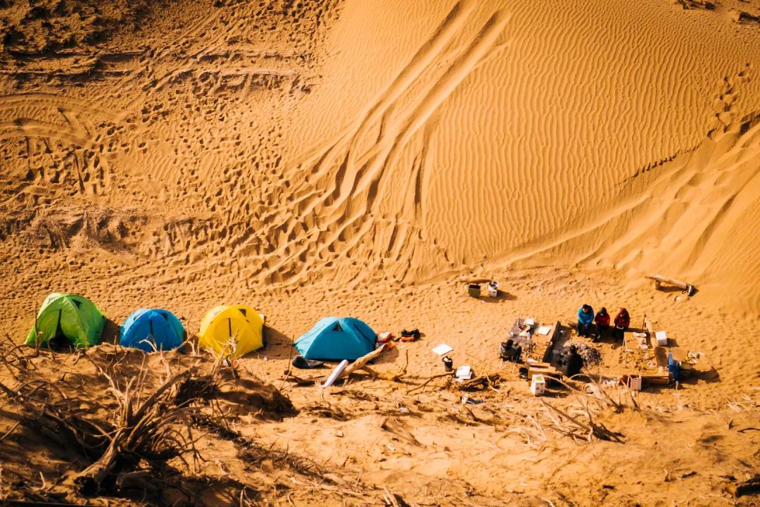 尼雅五星东方口碑,尼雅五星东方赤霞珠干红葡萄酒